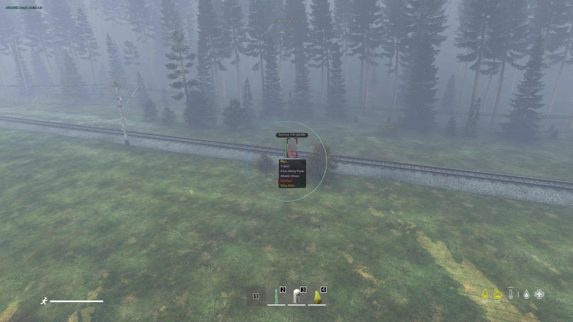 Arcane: DayZ Cheat